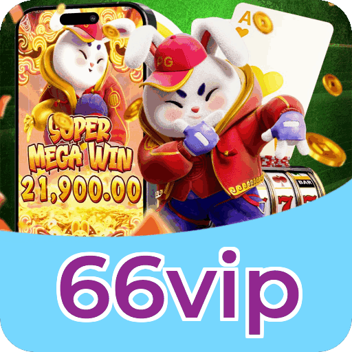 66vip